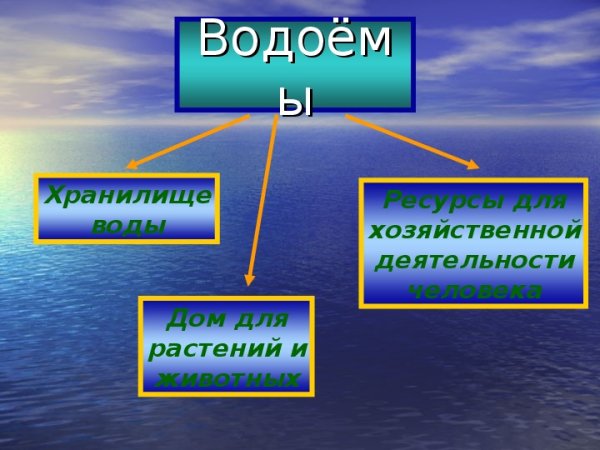 Природные сообщества родного края