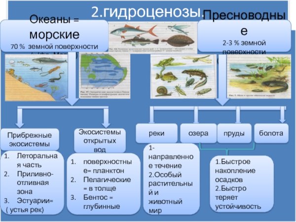 Жизнь в пресной воде