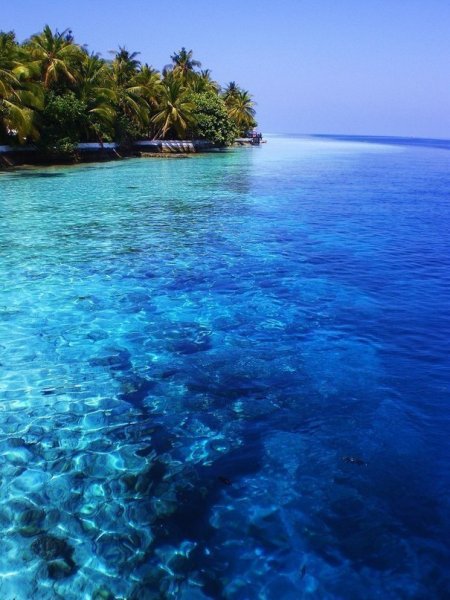 Афоризмы про отдых