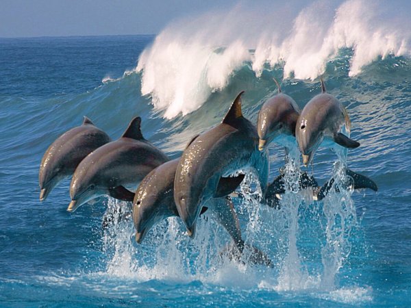 Кристиан Риес Лассен