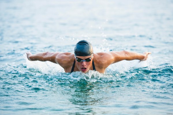 Стиль плавания Баттерфляй