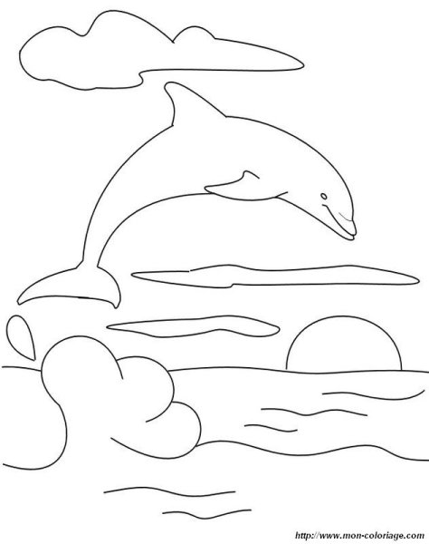 Дельфин шаблон для рисования