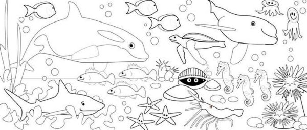 Морские рыбки раскраска