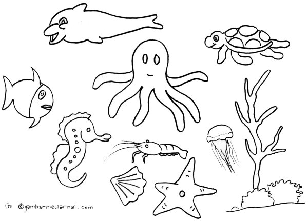 Морские жители раскраска для детей