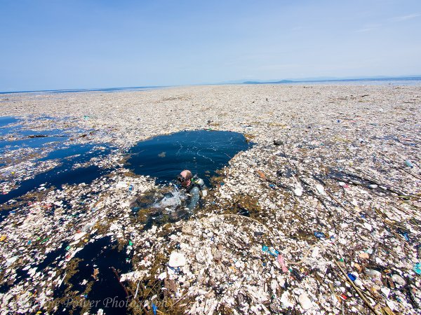 Great Pacific Garbage Patch