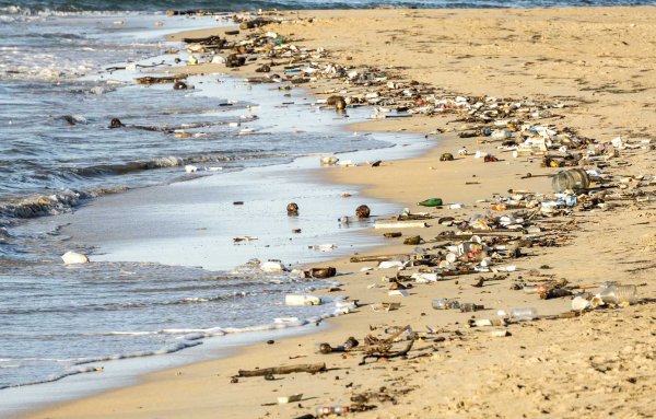 Загрязнение мирового океана