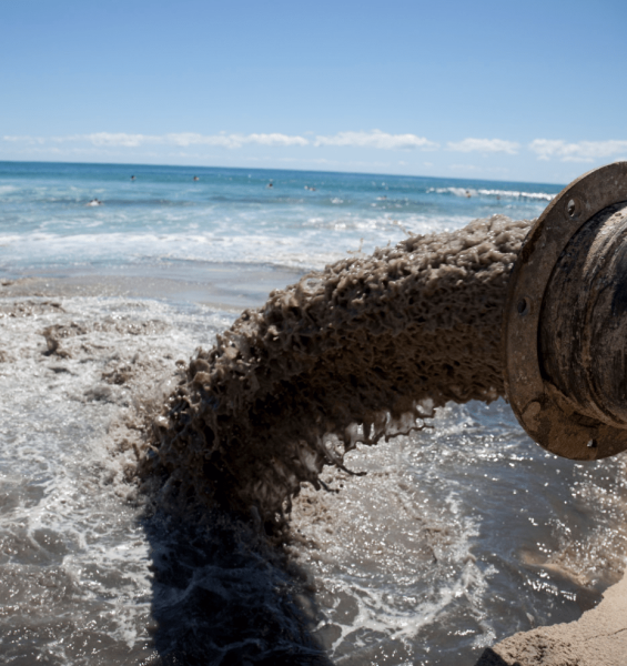 Экологические проблемы