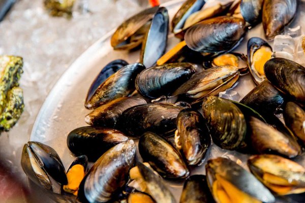 Черное море мидии+моллюски+устрицы