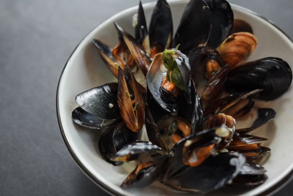 Мидии черного моря