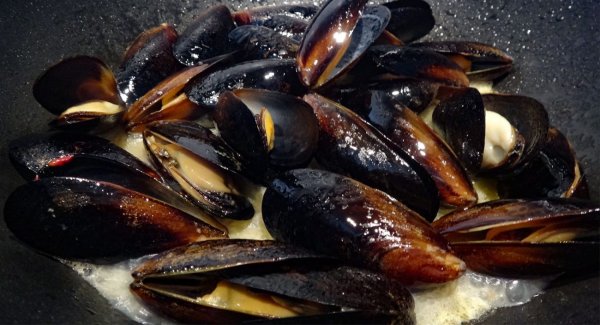 Моллюски и мидии черного моря