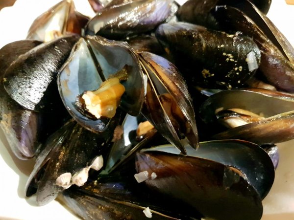 Двуякорная мидии