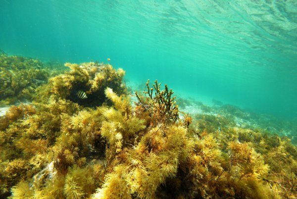 Камни на пляже