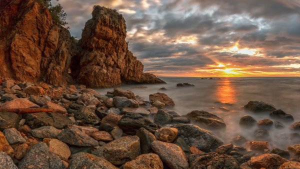 Анфецилин водоросли