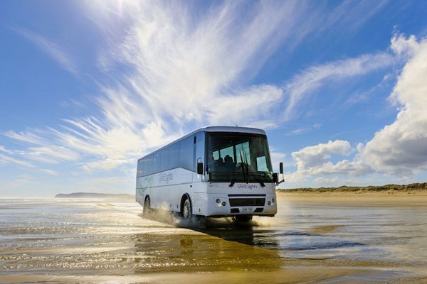 Автобусный тур к морю