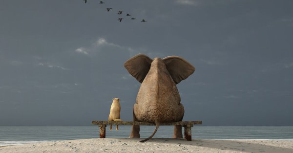 Михаил Коростелев National Geographic.