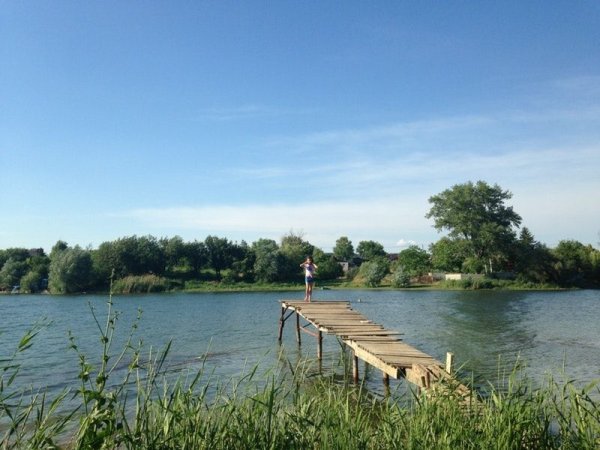 Балка Камышеваха в Ростове на Дону