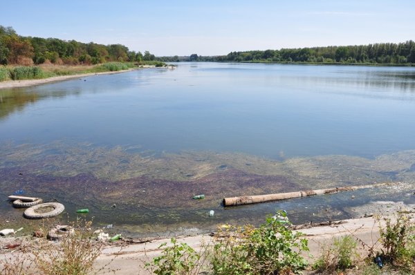 Водохранилище Ростовское море