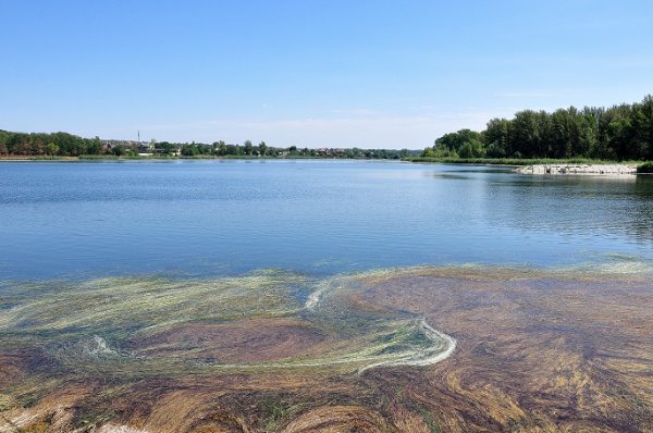 Северное водохранилище Ростов на Дону