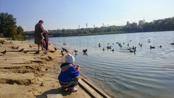 Ростовское море Ростов-на-Дону