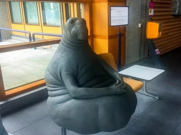 Ждун на море