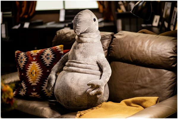 Мистер Ждун