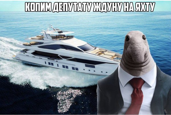 Ждун женщина