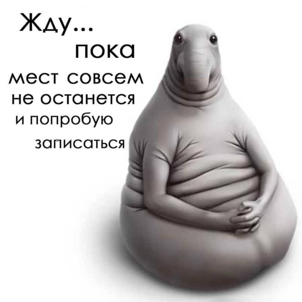 Ждун на море