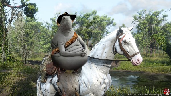 Ластоногие морской слон