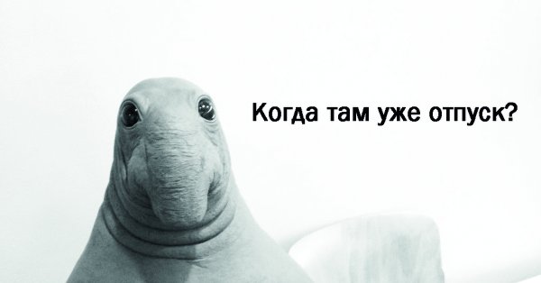 Ждун мечтатель