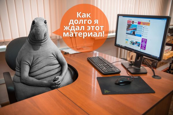 Ждун на даче