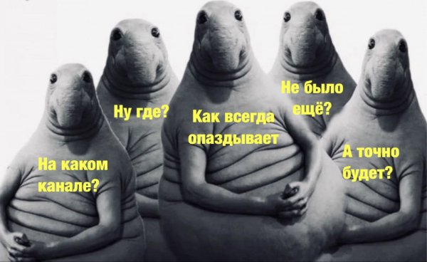 Хатико Ждун картинки