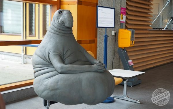 Ждун игрушка лекало