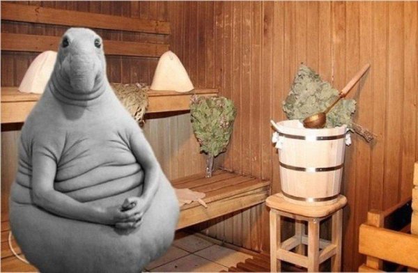 Космический Ждун