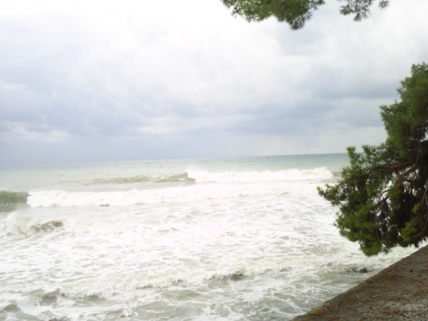 Климат на берегах черного моря