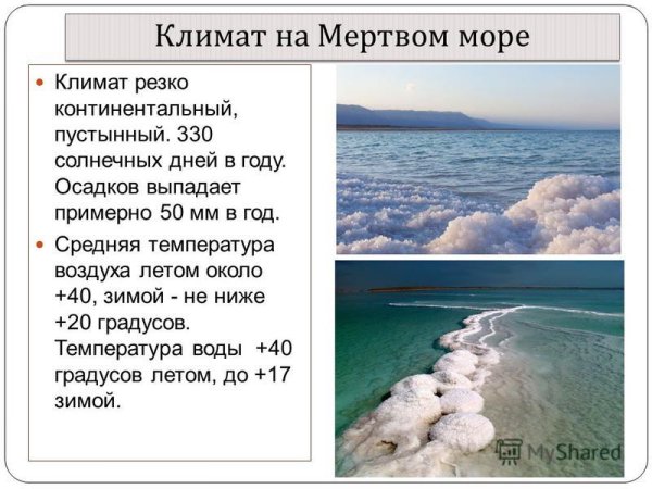 Мертвое море презентация