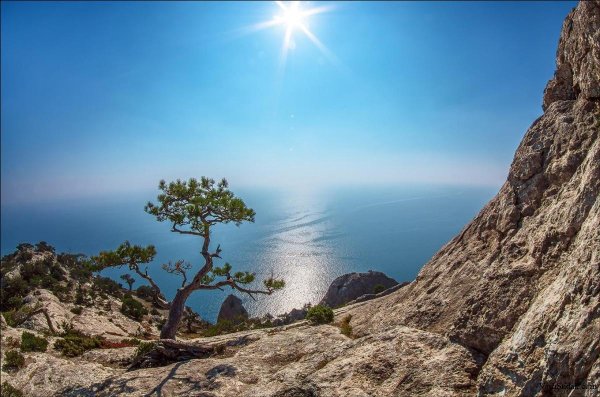 Мыс Меганом