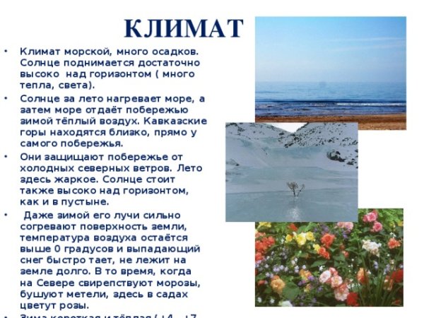 Климат Черноморского побережья Кавказа