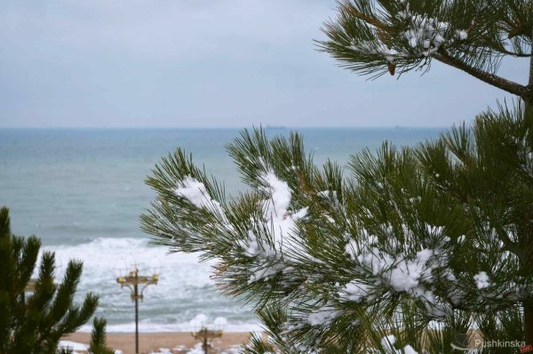 Зима на Черноморском побережье