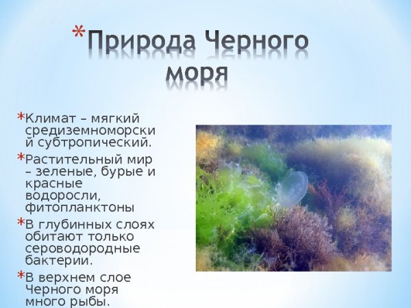 Климат черного моря