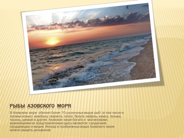 Осолонение Азовского моря