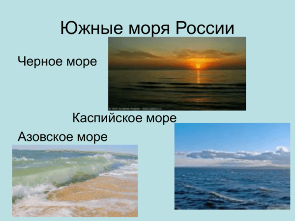 Южные моря России презентация