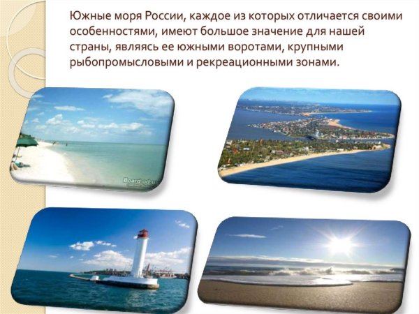 Субтропики Южного берега Крыма