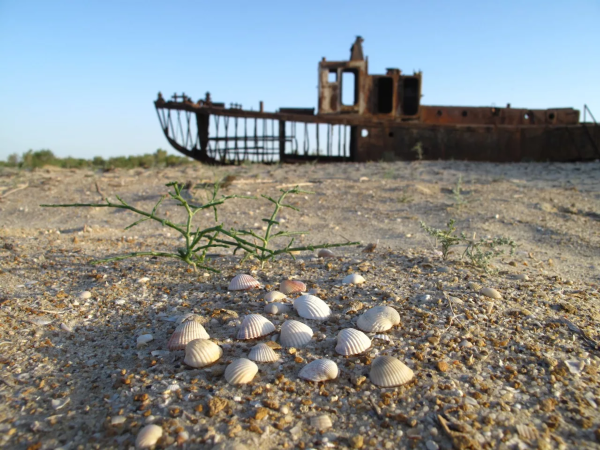 Высохшее море Аральское море