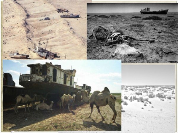 Последствия экологической катастрофы (Аральское море)