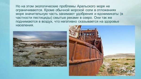 Гибель Аральского моря экологическая катастрофа