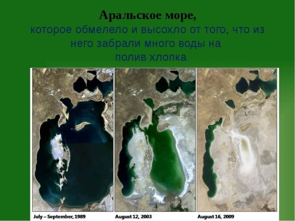 Малое Аральское море 2020