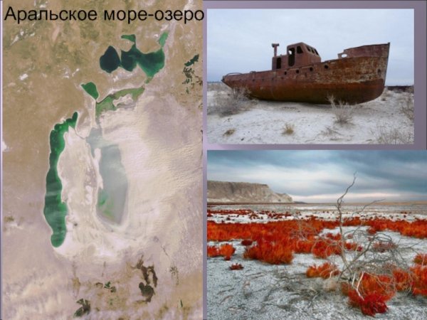 Аральское море море озеро