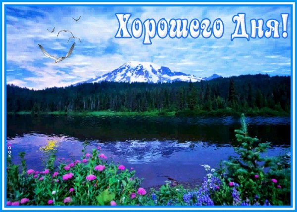 Открытки хорошего дня с природой