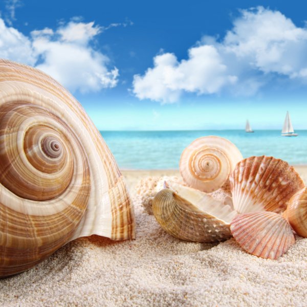 Красивый фон море