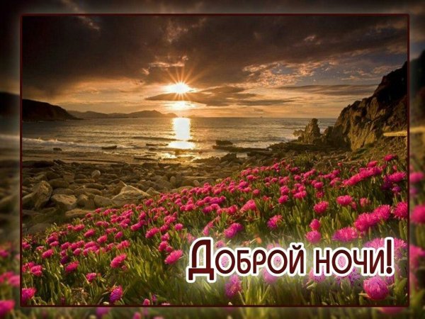 Спокойной летней ночи